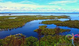 sentarum-lake-kapuas-hulu-west-kalimantan-6.JPG